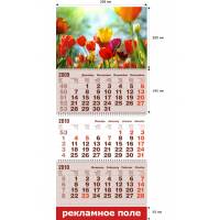 Шапка "Тюльпаны" - квартальный календарь на 3-х пружинах "Стандарт" с одним рекламным полем
